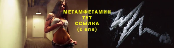 ГАЛЛЮЦИНОГЕННЫЕ ГРИБЫ Богданович