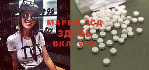 ГАЛЛЮЦИНОГЕННЫЕ ГРИБЫ Богданович