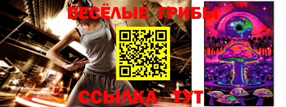 Псилоцибиновые грибы Горячий Ключ