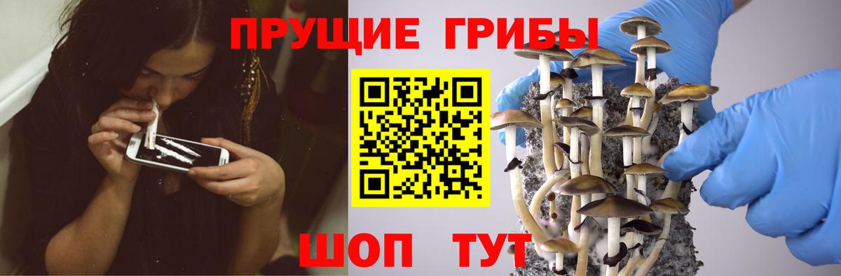 Галлюциногенные грибы GOLDEN TEACHER Горячий Ключ